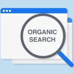 ndicators of Organic Search Success