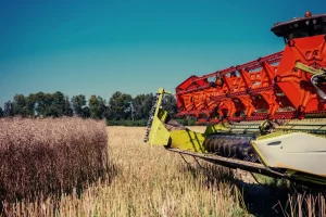 Agriculture Marketing Agency