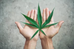 Cannabis Marketing